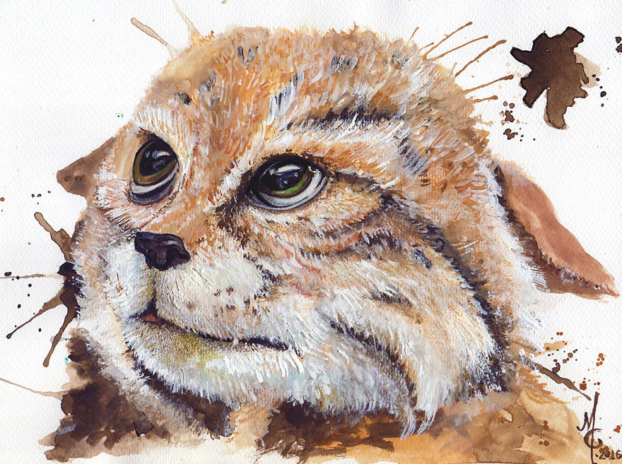 Watercolor Animals By Illustrations Of Dreams