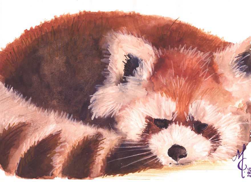 Watercolor Animals By Illustrations Of Dreams