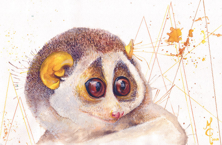 Watercolor Animals By Illustrations Of Dreams