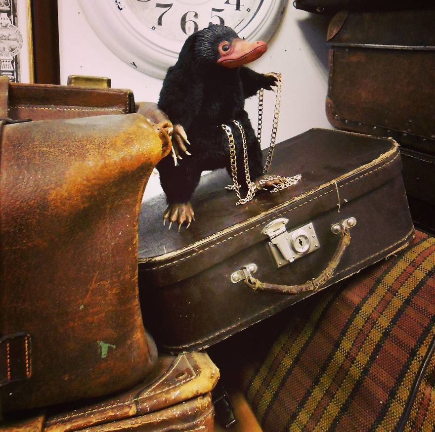 We Create Magical Nifflers From The Movie "Fantastic Beasts And Where Are To Find Them"