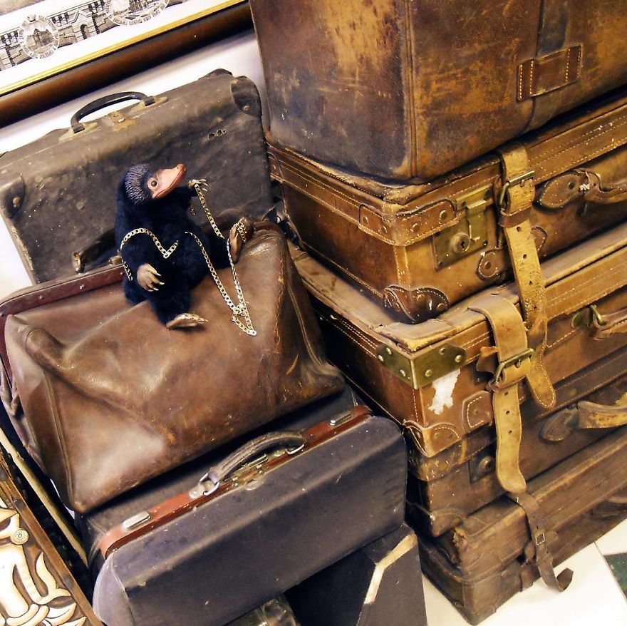 We Create Magical Nifflers From The Movie "Fantastic Beasts And Where Are To Find Them"