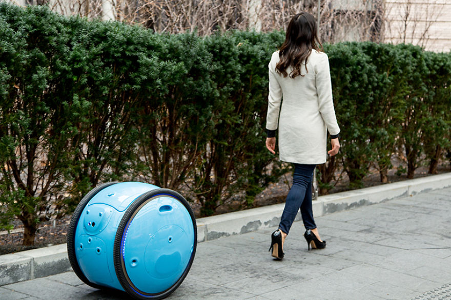 This Robot Follows You Around Carrying All Your Stuff This Robot Follows You Around Carrying All Your Stuff