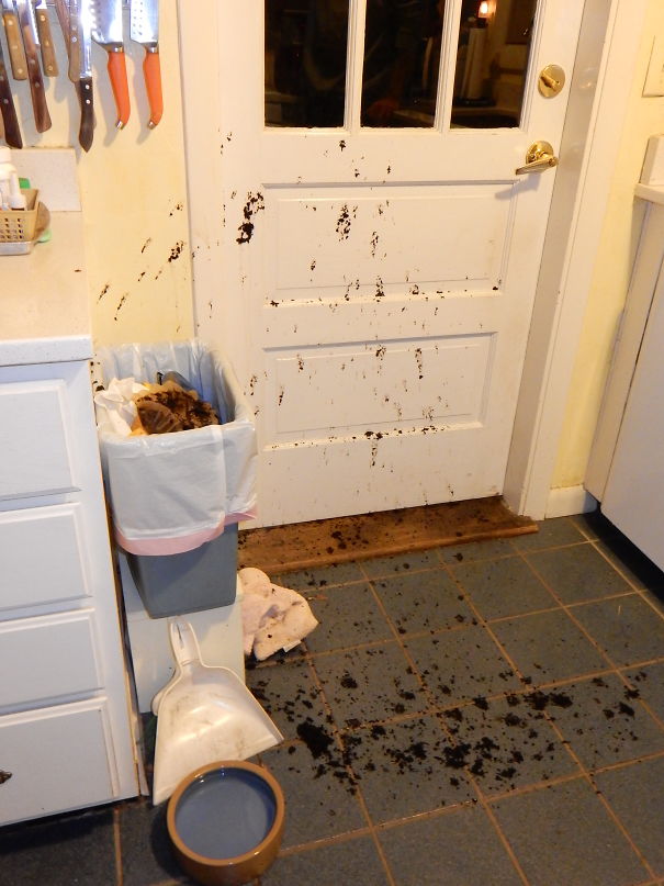 Didn't Make Pro Basketball Either.