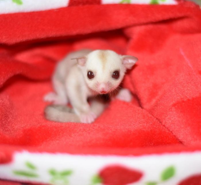 Happy Valentine's Day