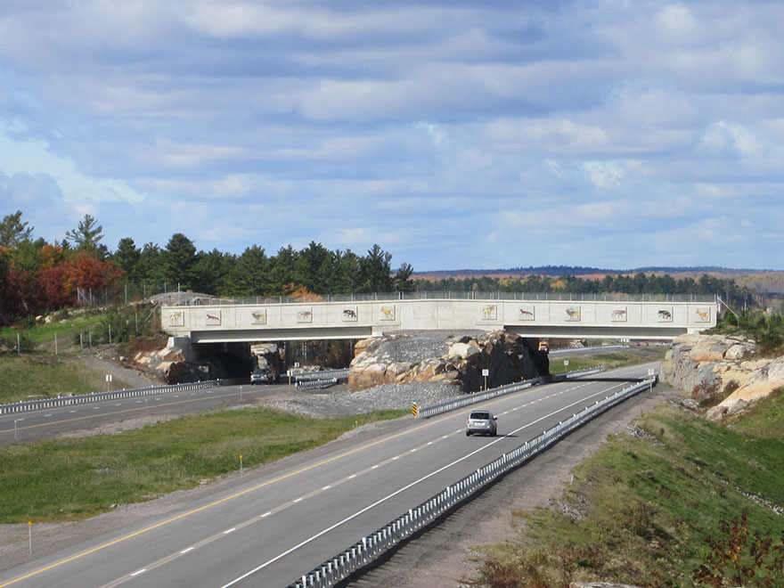 Overpass For Animals In Ontario, Canada