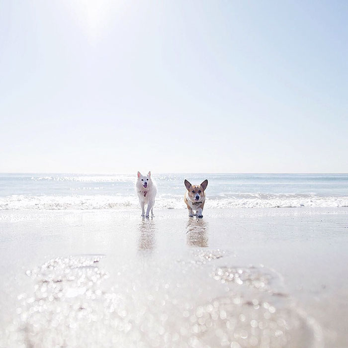 They're About To Drop Their Greatest Love Mixtape