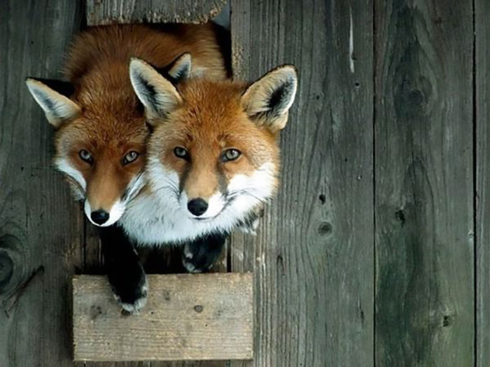 This Duo Is Dropping A New Album