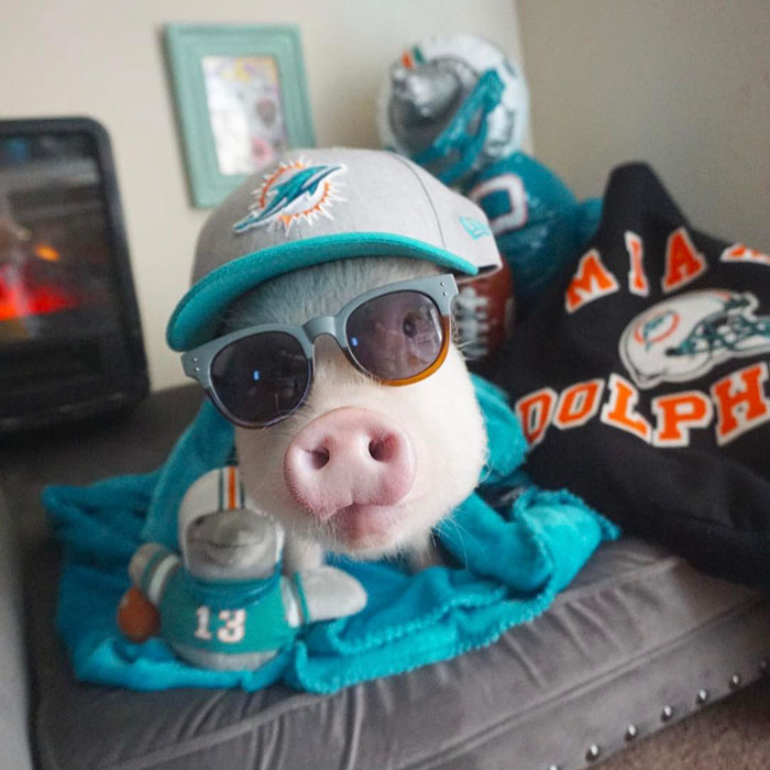 This Piggy Is Dropping Her Biggest Hip Hop Album Yet