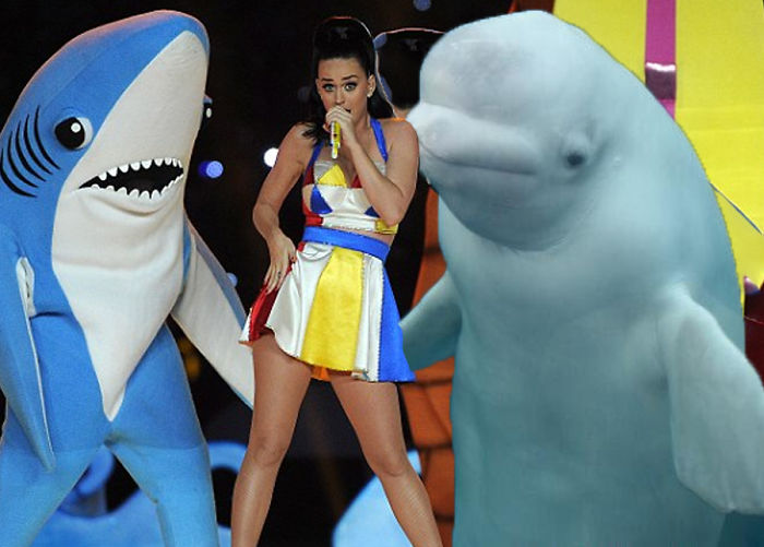 Left Shark Right Beluga