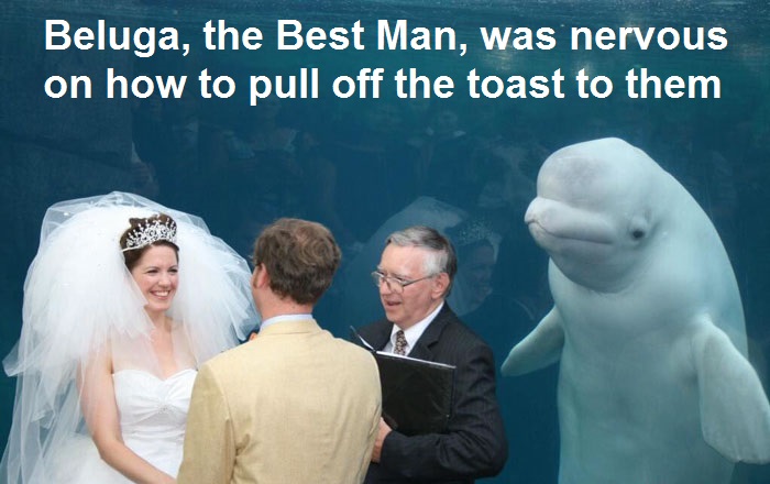 Traditional Toast To The Couple