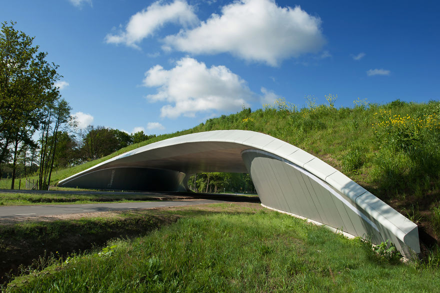 Ecoduct In Overijssel, The Netherlands
