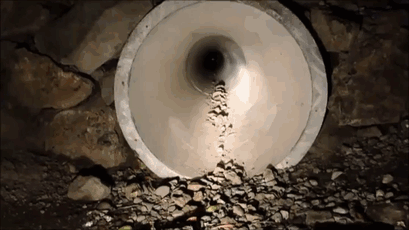 Blue Penguin Underpass In New Zealand