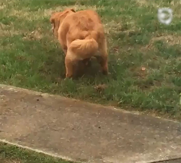 Caught At The Crime Scene