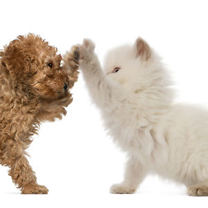 clarearmstrong92 avatar