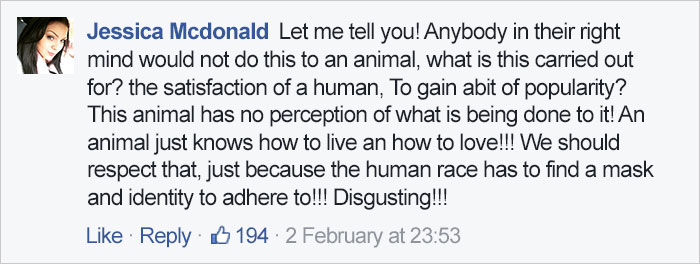 cat-tattoo-gangster-sphynx-aleksandr-russia-8 cat-tattoo-gangster-sphynx-aleksandr-russia-8