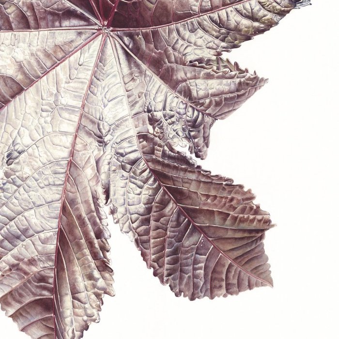 For The Last Two Years, I Have Been Painting Leaves That Tell A Story