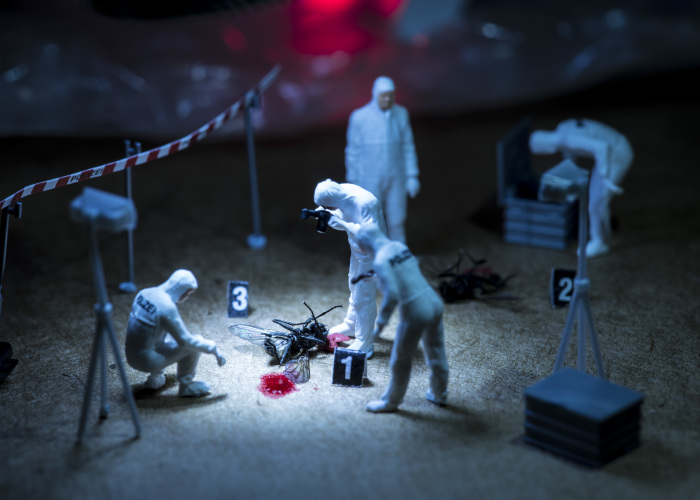 I’ve Created A Tiny Wasteland