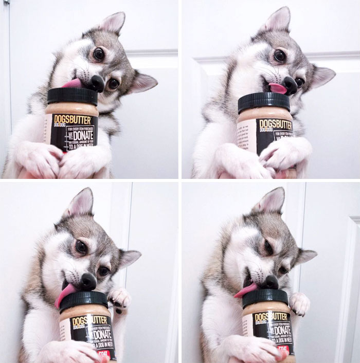 Peanut Butter Is An Addictive Drug