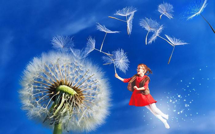 Dandelion Girl