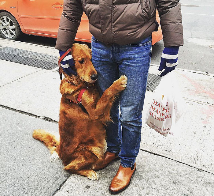 dog-gives-hugs-louboutina-retriever-new-york-11 dog-gives-hugs-louboutina-retriever-new-york-11