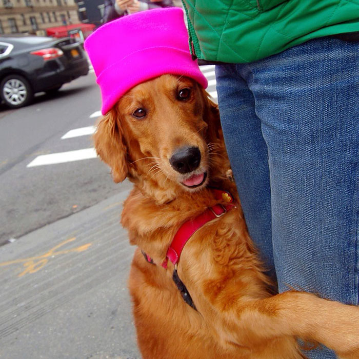 dog-gives-hugs-louboutina-retriever-new-york-15 dog-gives-hugs-louboutina-retriever-new-york-15