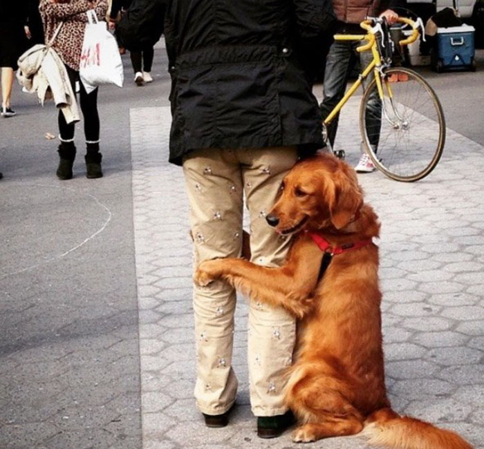 dog-gives-hugs-louboutina-retriever-new-york-4 dog-gives-hugs-louboutina-retriever-new-york-4
