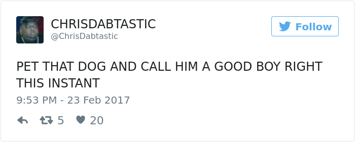 dog-waits-school-girl-every-day-ralph-3 dog-waits-school-girl-every-day-ralph-3