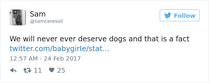 dog-waits-school-girl-every-day-ralph-4 dog-waits-school-girl-every-day-ralph-4