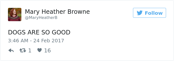 dog-waits-school-girl-every-day-ralph-5 dog-waits-school-girl-every-day-ralph-5