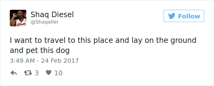 dog-waits-school-girl-every-day-ralph-6 dog-waits-school-girl-every-day-ralph-6