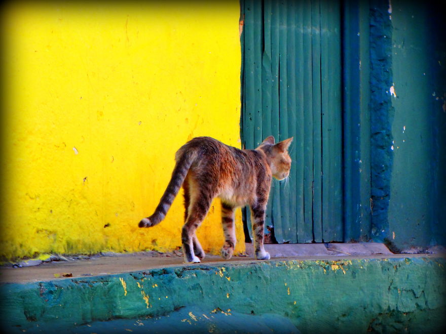 Stunning South America Stunning South America