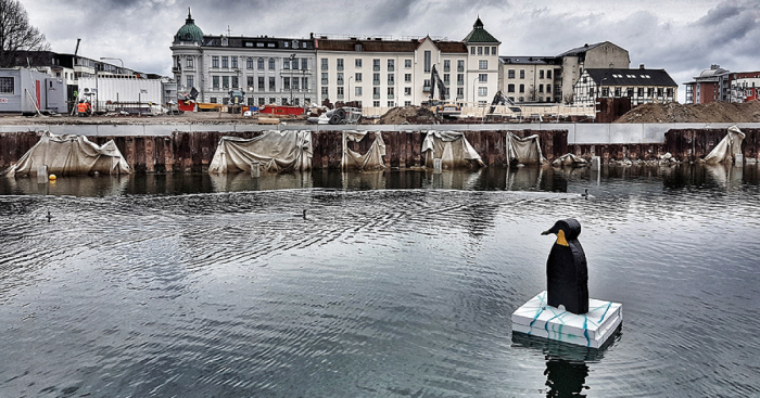 I Made Penguin Sculptures And Placed Them In The Waters Around My Town To Raise Awareness About Global Warming