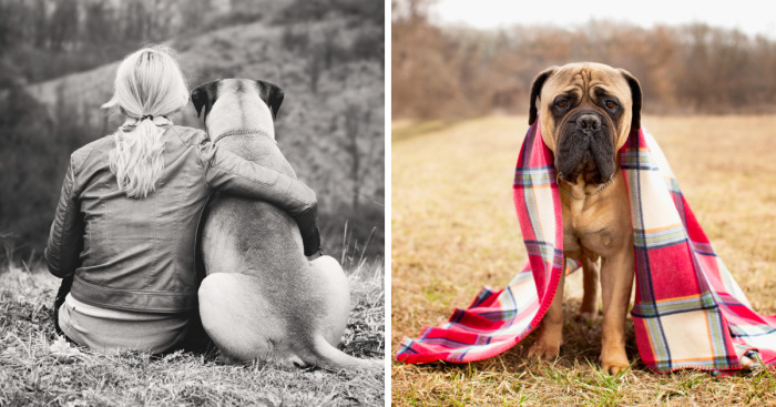 Last Portraits Of A Beloved Dog