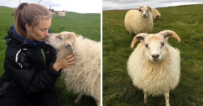 I Document My Everyday Life On An Icelandic Farm
