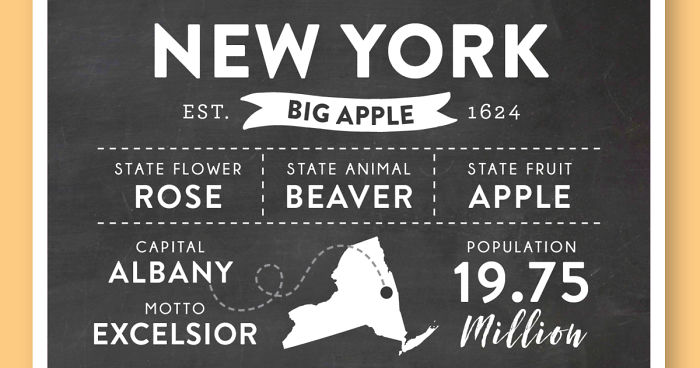 I Create Infographics With Fun Facts About All 50 U.S. States (10+ Images)