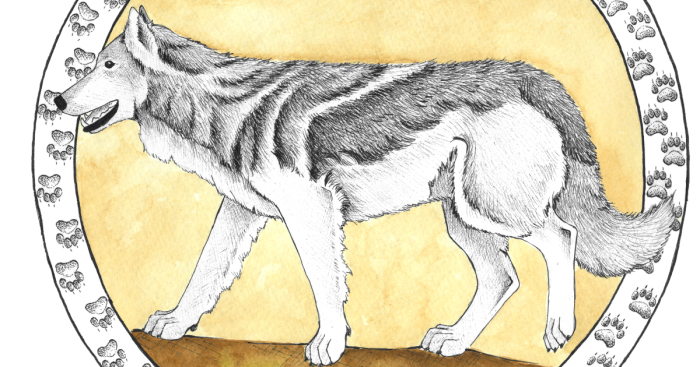 I Draw North American Animals