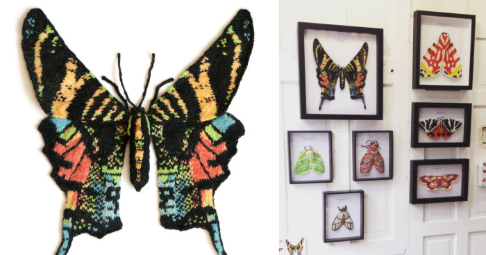 I Knit Different Moths To Reveal Their Spectacular Variety