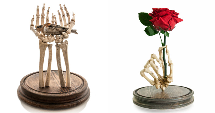 Taking Real Human Bones And Giving Them A New Lease Of Life