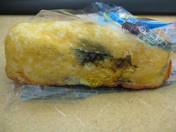 Moldy Twinky. Yes, They Can Rot