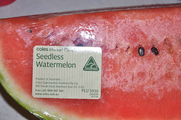 Watermelon Gives 0 Fucks