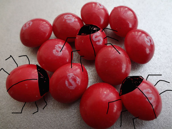 Bright-Red Color Candies And Other Food Are Dyed With Carmine - The Pigment Which Is Produced From Crushed Female Cochineal Beetles
