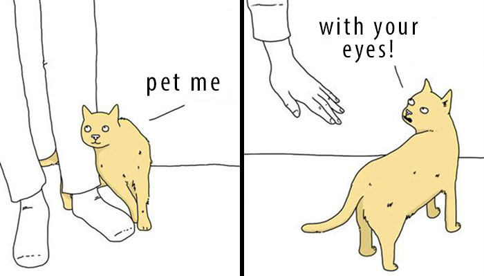 If Animals Could Talk (39 New Pics)