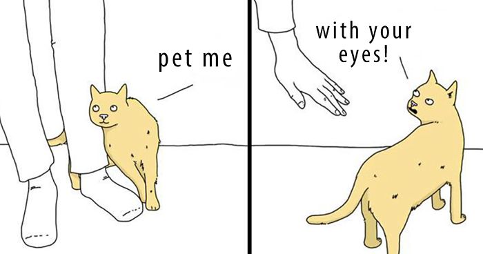 If Animals Could Talk (39 New Pics)