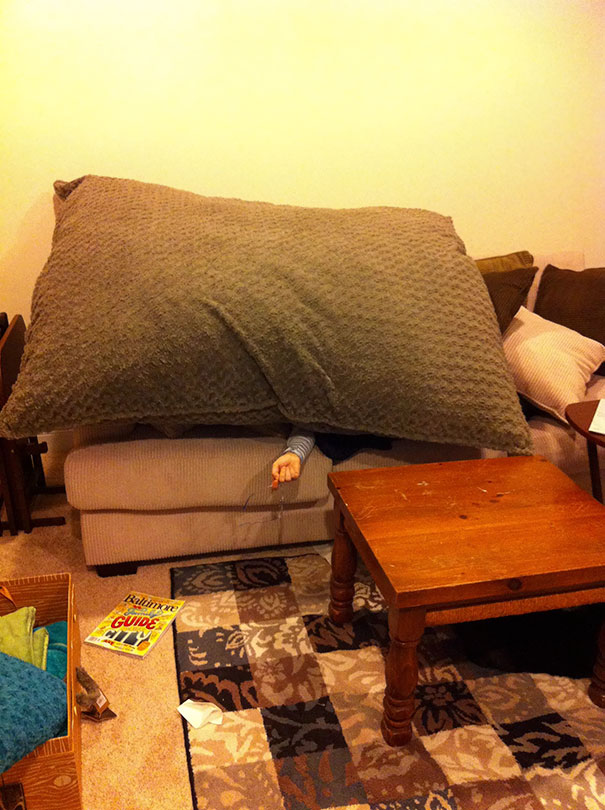 Wife Asked Me To Get Her A Pillow. Nailed It