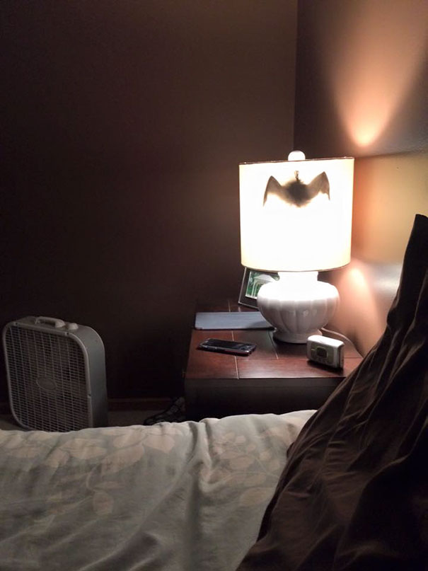 Nothing Beats A Good Old Fashioned Prank