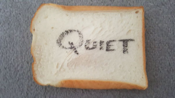 I Told My Wife That All I Wanted For Our Anniversary Was Peace And Quiet. 10 Mins Later She Throws This At Me