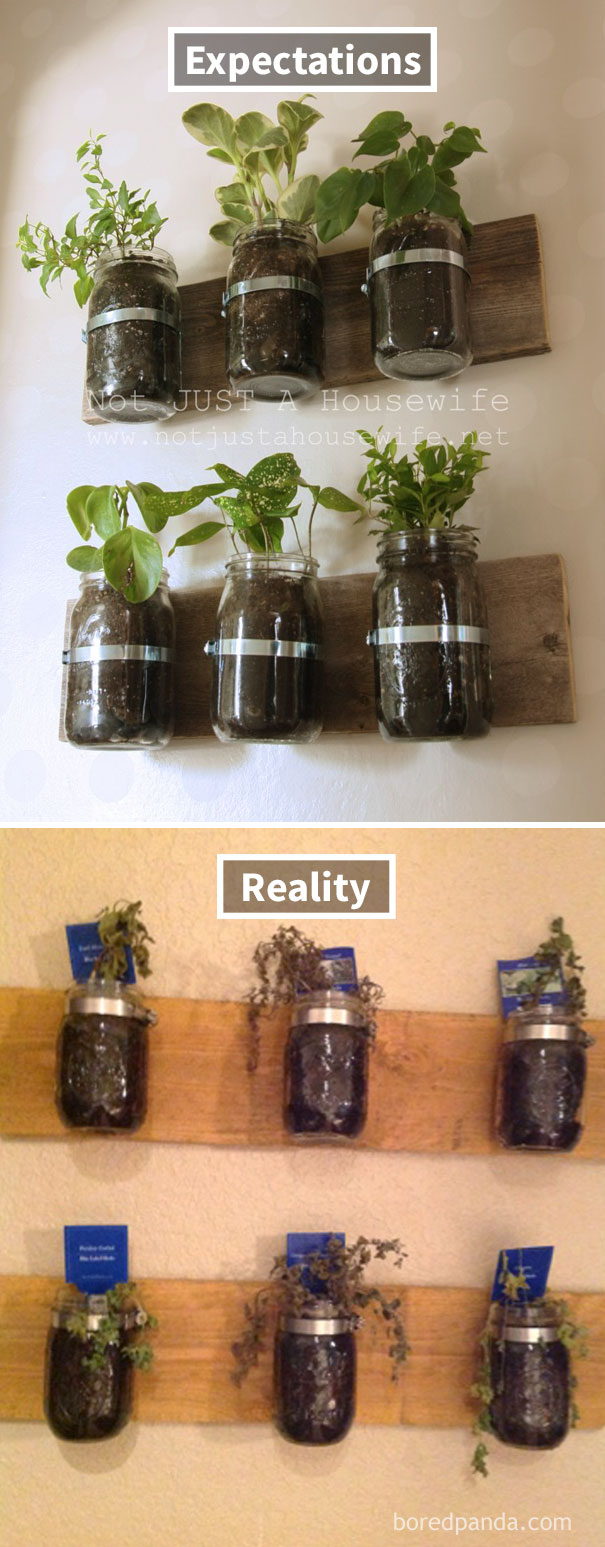 Mason Jar Planters