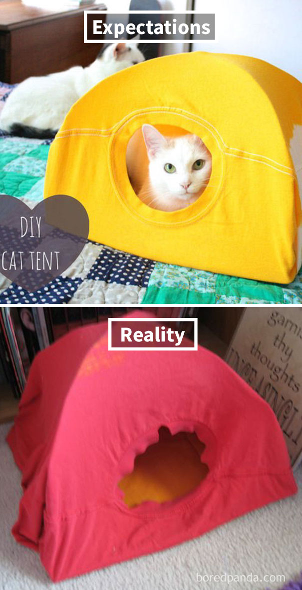 Cat Tent