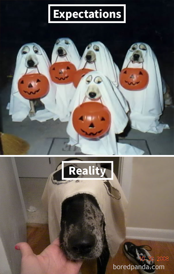 Haunting Doggy Costume