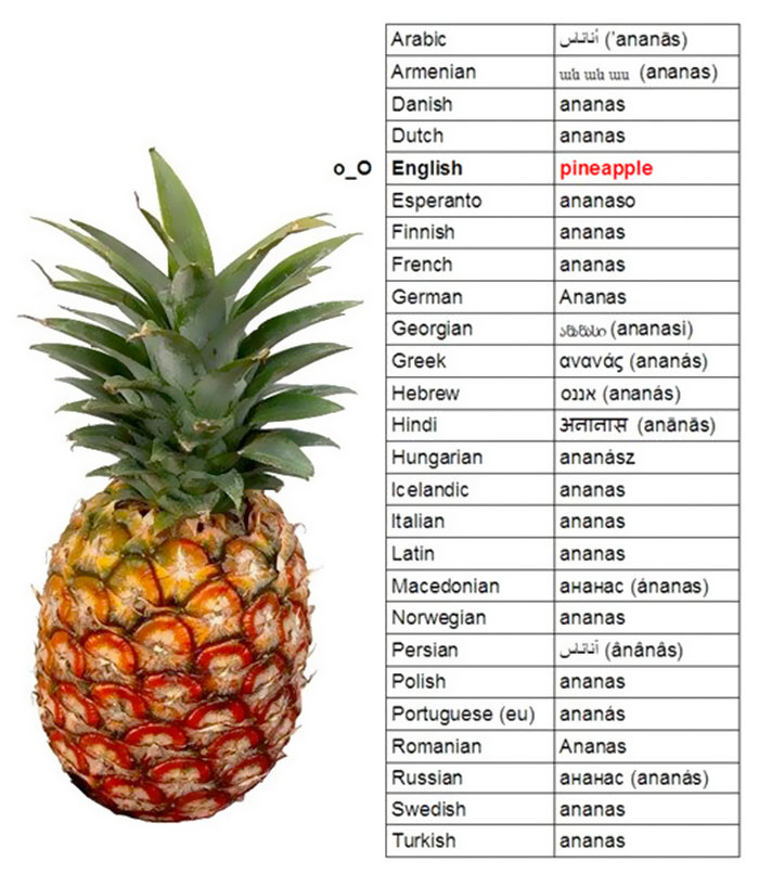 Pineapple with a list of languages showing the word as "ananas," highlighting a joke about the English language.